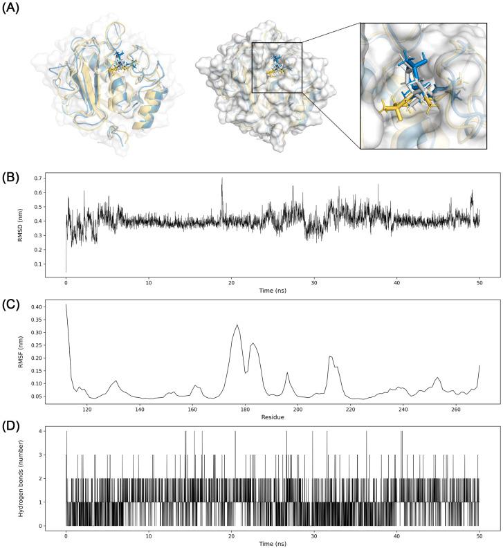 https://cdn.ncbi.nlm.nih.gov/pmc/blobs/f677/10526905/8d36bf078a2e/biomolecules-13-01322-g011.jpg