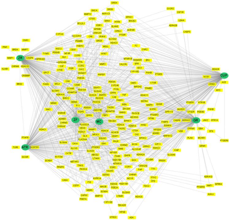 https://cdn.ncbi.nlm.nih.gov/pmc/blobs/f677/10526905/d0bffd58be02/biomolecules-13-01322-g004.jpg