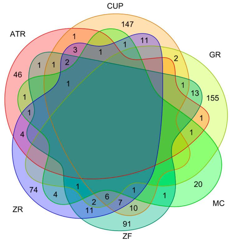 https://cdn.ncbi.nlm.nih.gov/pmc/blobs/f677/10526905/d4def4efb552/biomolecules-13-01322-g002.jpg