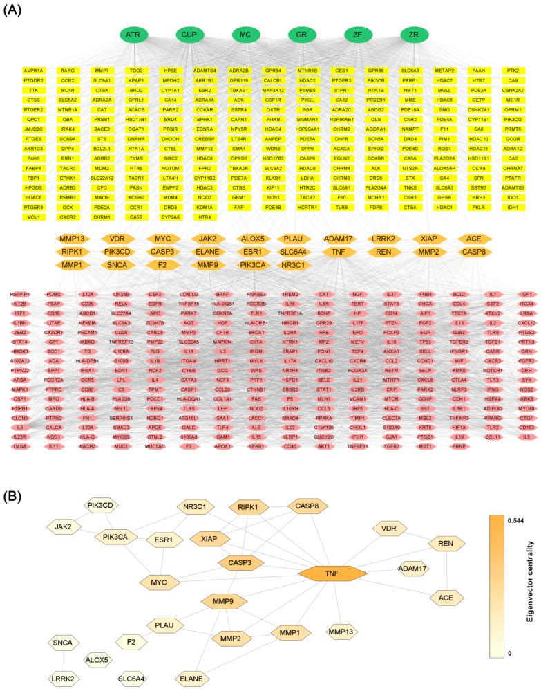 https://cdn.ncbi.nlm.nih.gov/pmc/blobs/f677/10526905/d6b251b823dc/biomolecules-13-01322-g006.jpg
