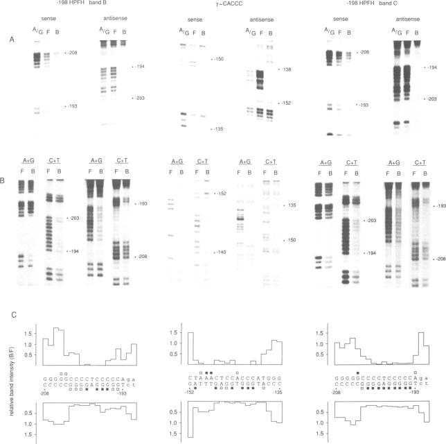 https://cdn.ncbi.nlm.nih.gov/pmc/blobs/f678/332301/ad65ac54e1a8/nar00203-0087-a.jpg