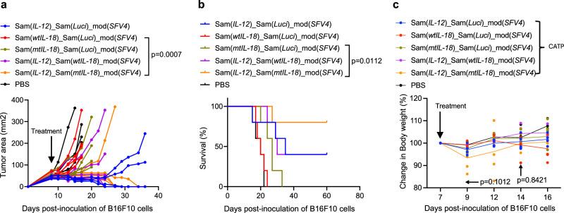 https://cdn.ncbi.nlm.nih.gov/pmc/blobs/f67d/12375736/3633fe08a283/42003_2025_8735_Fig4_HTML.jpg