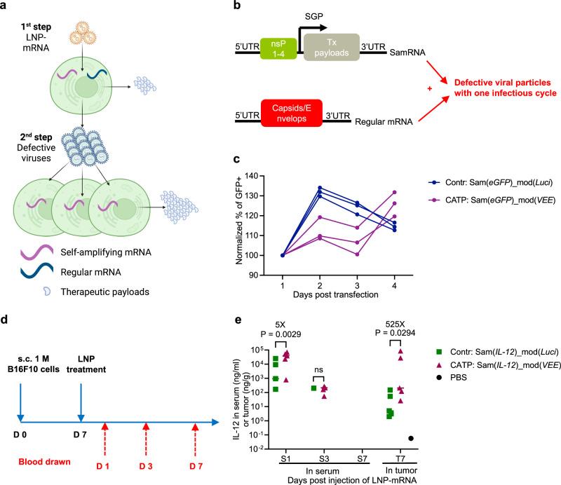 https://cdn.ncbi.nlm.nih.gov/pmc/blobs/f67d/12375736/51834f8f7a35/42003_2025_8735_Fig1_HTML.jpg