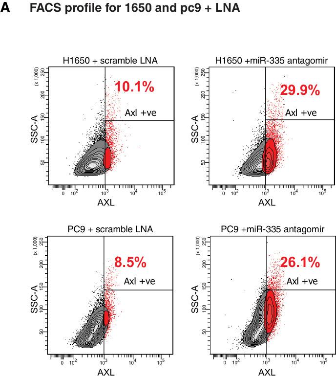 https://cdn.ncbi.nlm.nih.gov/pmc/blobs/f67d/8285107/2ebac2dde501/elife-66109-fig5-figsupp1.jpg