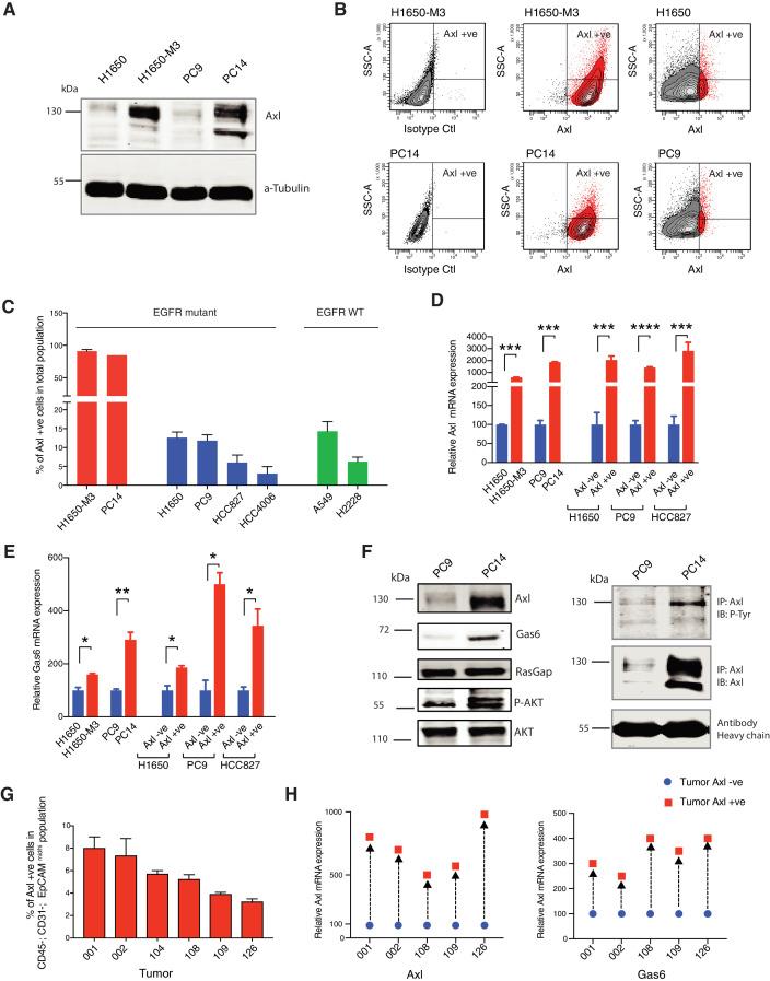 https://cdn.ncbi.nlm.nih.gov/pmc/blobs/f67d/8285107/6c7260c60c27/elife-66109-fig1.jpg