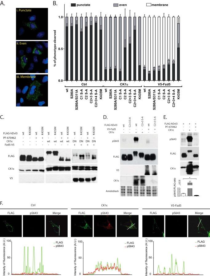 https://cdn.ncbi.nlm.nih.gov/pmc/blobs/f680/4156093/50b7d6b4be42/zbc0381493580005.jpg