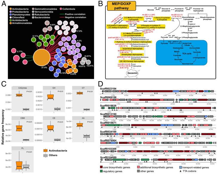 https://cdn.ncbi.nlm.nih.gov/pmc/blobs/f680/9169738/50d34c6a365b/pnas.2121141119fig03.jpg