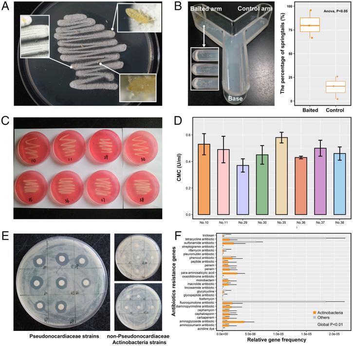 https://cdn.ncbi.nlm.nih.gov/pmc/blobs/f680/9169738/be5e7b8809c9/pnas.2121141119fig04.jpg