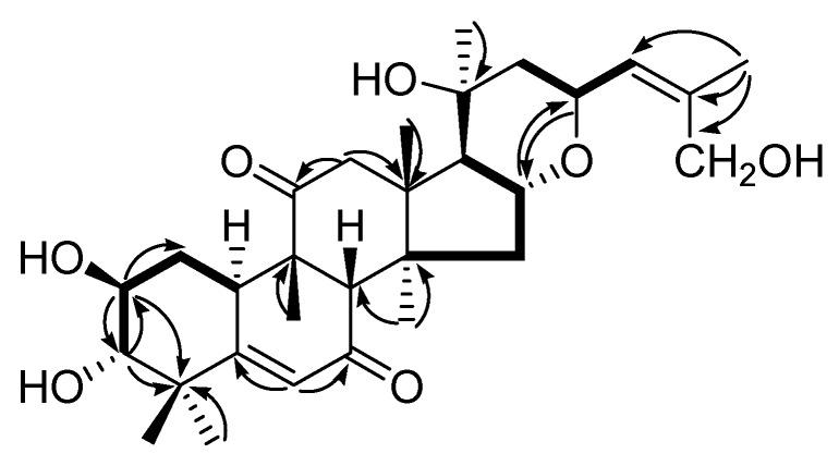 https://cdn.ncbi.nlm.nih.gov/pmc/blobs/f683/6359121/df6cbb6fae00/molecules-24-00331-g002.jpg