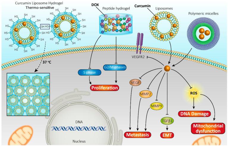 https://cdn.ncbi.nlm.nih.gov/pmc/blobs/f684/10018697/e69f0e4fe037/ao2c07062_0001.jpg