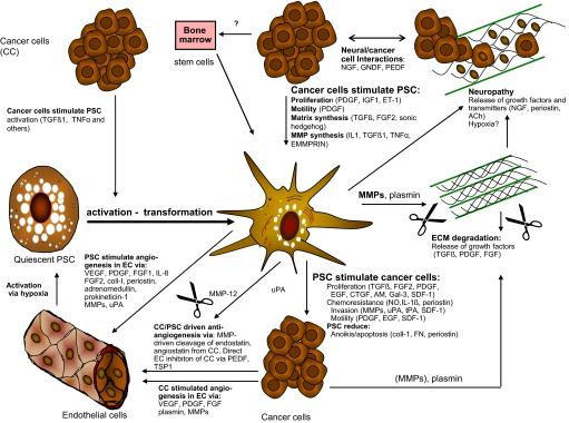 https://cdn.ncbi.nlm.nih.gov/pmc/blobs/f685/3245897/43c6042e8039/gutjnl-2011-301220fig2.jpg