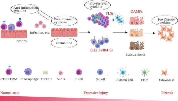 https://cdn.ncbi.nlm.nih.gov/pmc/blobs/f687/11427401/b5f58a2a6819/fimmu-15-1443455-g005.jpg