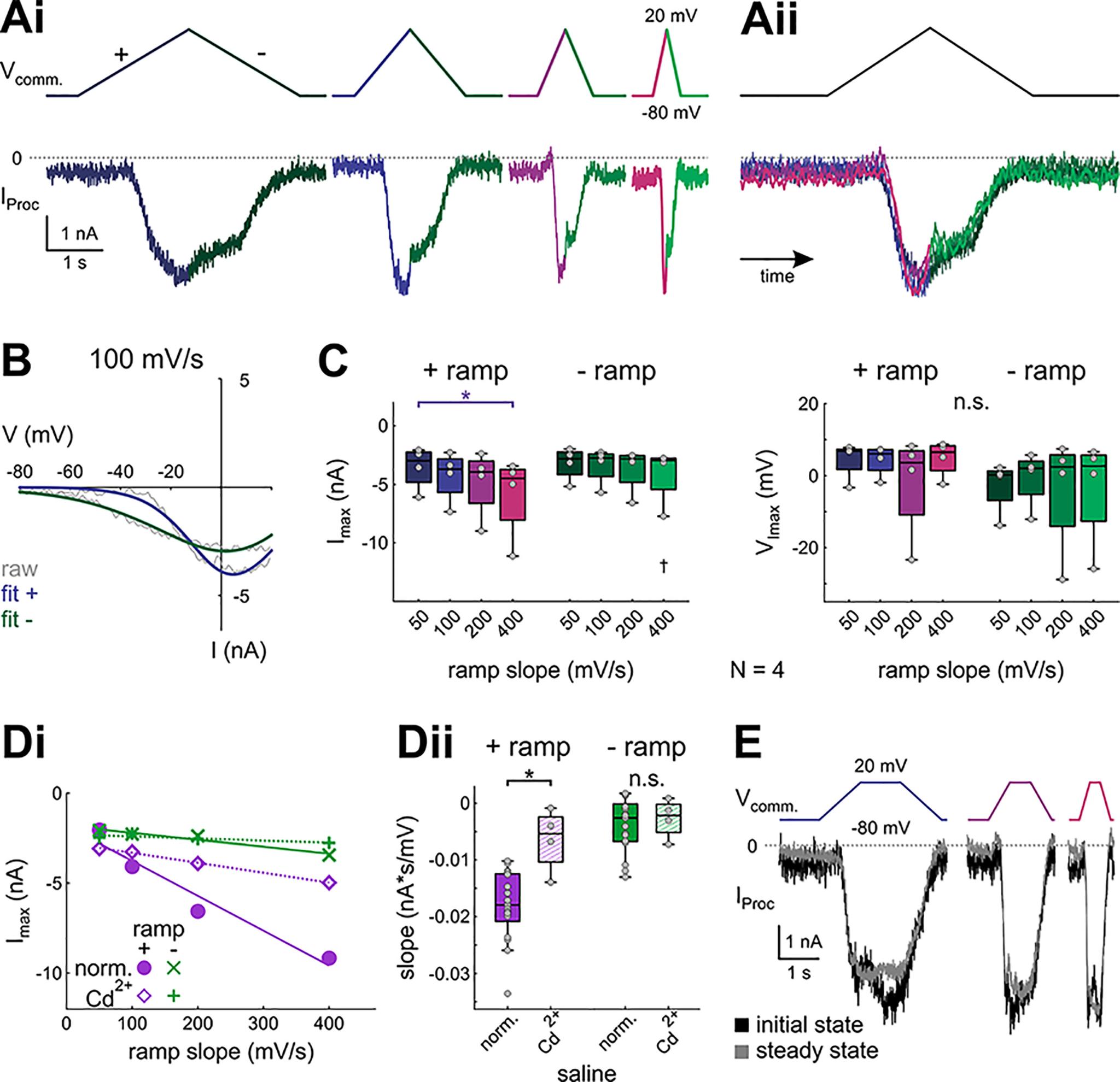 https://cdn.ncbi.nlm.nih.gov/pmc/blobs/f687/8584230/422cc7ca9dbe/ENEURO.0338-21.2021_f008.jpg