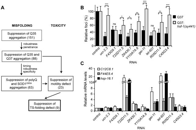 https://cdn.ncbi.nlm.nih.gov/pmc/blobs/f688/3248563/eb3eec1892a2/pgen.1002438.g007.jpg
