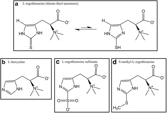 https://cdn.ncbi.nlm.nih.gov/pmc/blobs/f68a/5785509/aac42086350e/41598_2018_20021_Fig1_HTML.jpg