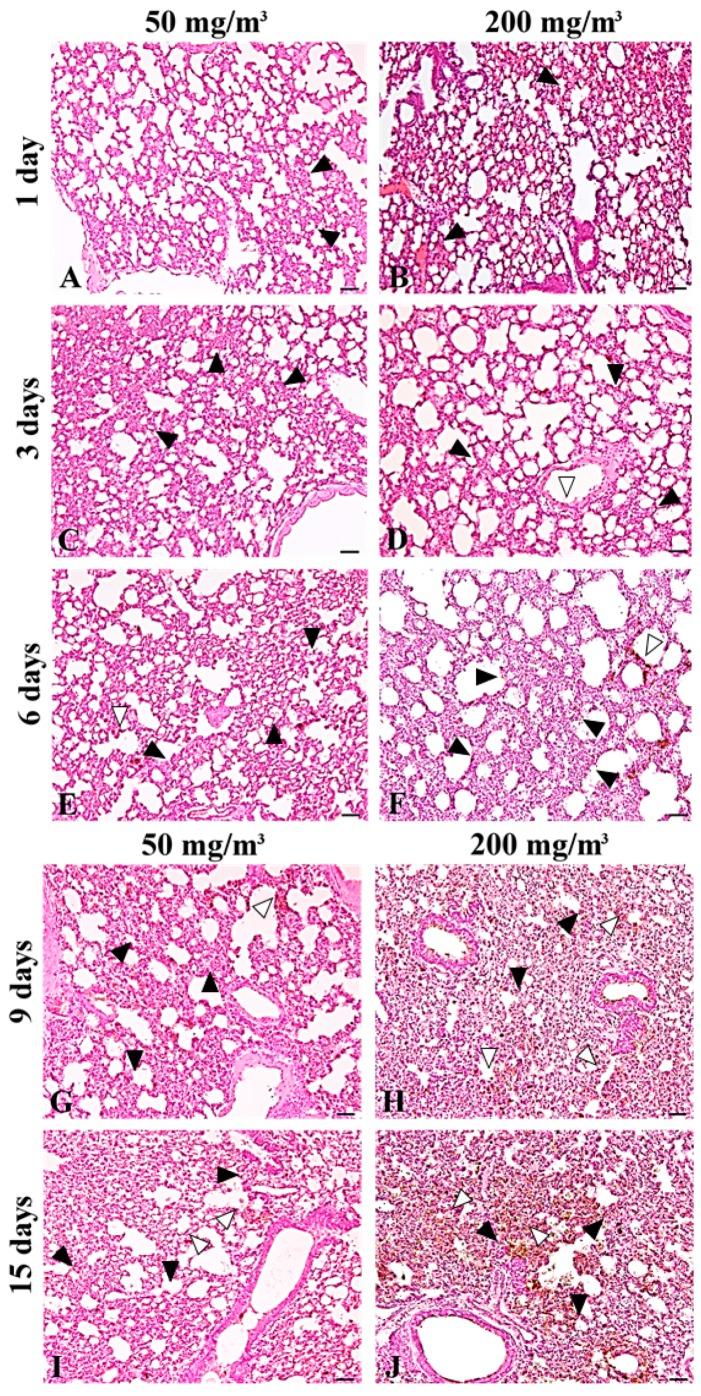 https://cdn.ncbi.nlm.nih.gov/pmc/blobs/f68b/5855638/4470092d5508/ijms-19-00416-g002.jpg