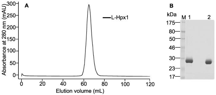https://cdn.ncbi.nlm.nih.gov/pmc/blobs/f68b/9406036/9c01decf0733/biomolecules-12-01145-g005.jpg