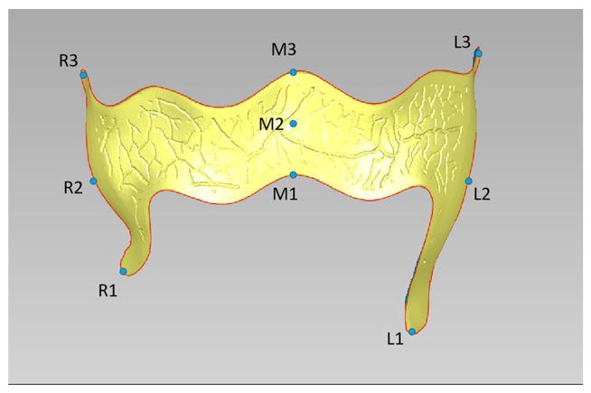 https://cdn.ncbi.nlm.nih.gov/pmc/blobs/f68c/11053645/297a2a987a21/polymers-16-01119-g003.jpg