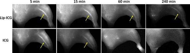 https://cdn.ncbi.nlm.nih.gov/pmc/blobs/f68d/6160486/004f77a2d094/41598_2018_32754_Fig3_HTML.jpg