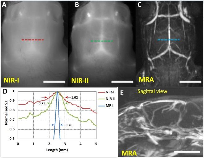 https://cdn.ncbi.nlm.nih.gov/pmc/blobs/f68d/6160486/22ac1bfbfe01/41598_2018_32754_Fig8_HTML.jpg