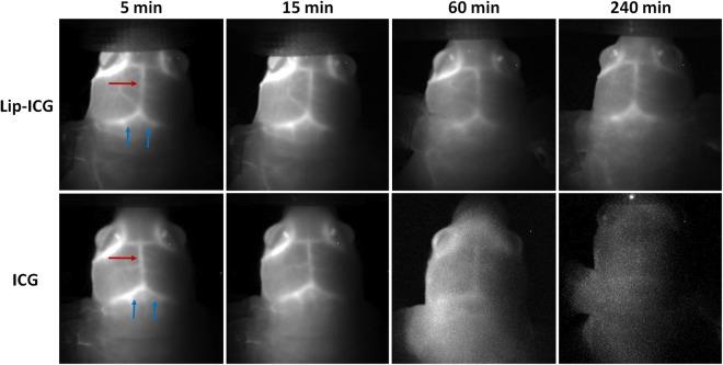 https://cdn.ncbi.nlm.nih.gov/pmc/blobs/f68d/6160486/85b77bf24fc2/41598_2018_32754_Fig5_HTML.jpg