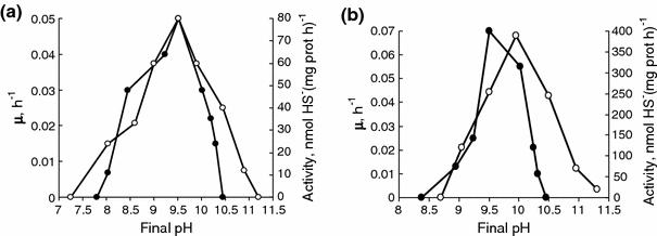 https://cdn.ncbi.nlm.nih.gov/pmc/blobs/f68e/2858807/0be0c538a00b/792_2010_310_Fig3_HTML.jpg