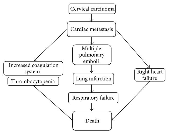 https://cdn.ncbi.nlm.nih.gov/pmc/blobs/f68e/4355340/25ac02c11f80/CRIOG2015-703424.006.jpg
