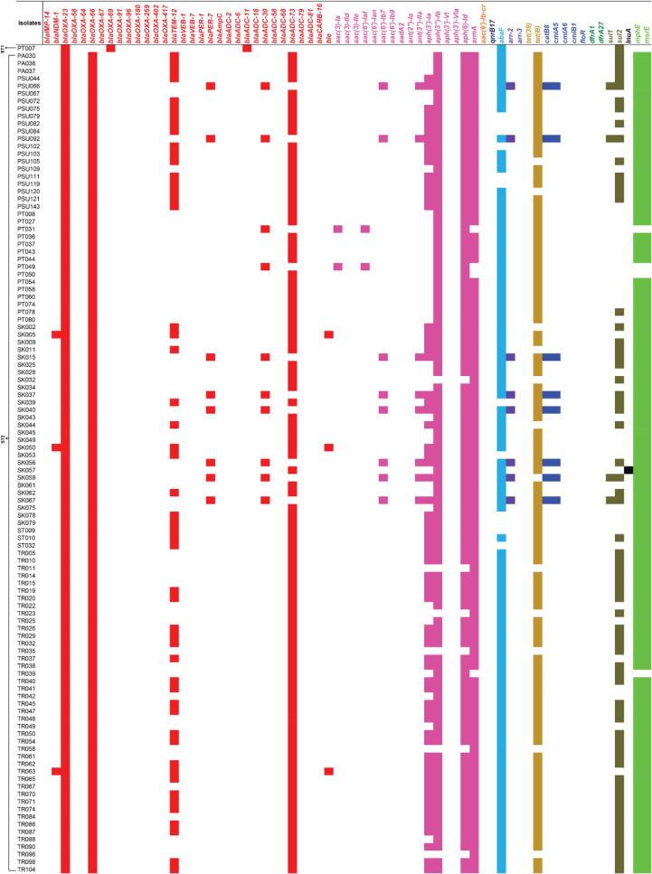 https://cdn.ncbi.nlm.nih.gov/pmc/blobs/f68e/9582705/5ca253f60ed0/gr3a.jpg