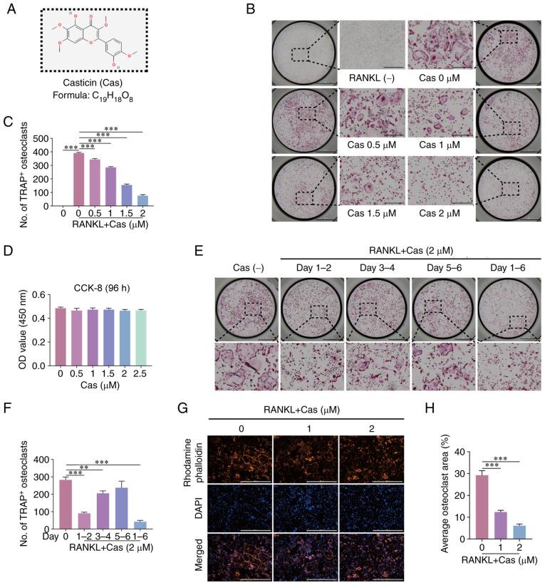 https://cdn.ncbi.nlm.nih.gov/pmc/blobs/f68f/10198048/cd00459a2316/IJMM-51-5-05246-g00.jpg