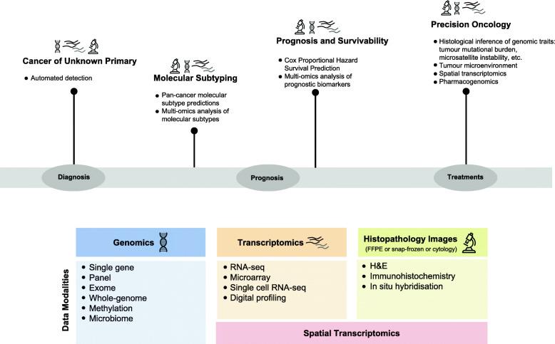 https://cdn.ncbi.nlm.nih.gov/pmc/blobs/f690/8477474/434a53c42435/13073_2021_968_Fig1_HTML.jpg
