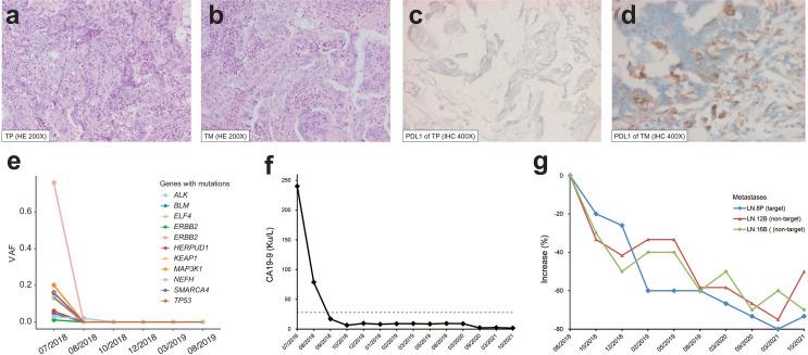 https://cdn.ncbi.nlm.nih.gov/pmc/blobs/f690/8887603/4255ba08558c/fimmu-13-820566-g002.jpg
