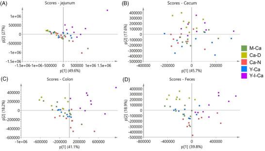 https://cdn.ncbi.nlm.nih.gov/pmc/blobs/f691/9788323/ceb89c76e4e1/MNFR-66-2200174-g005.jpg