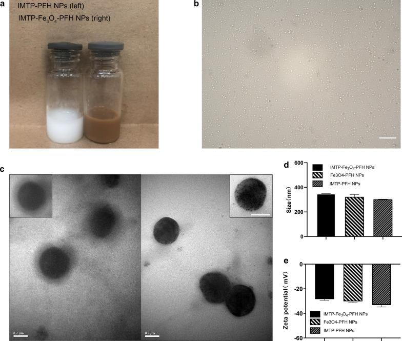 https://cdn.ncbi.nlm.nih.gov/pmc/blobs/f693/7986298/9a7d34663709/12951_2021_822_Fig1_HTML.jpg