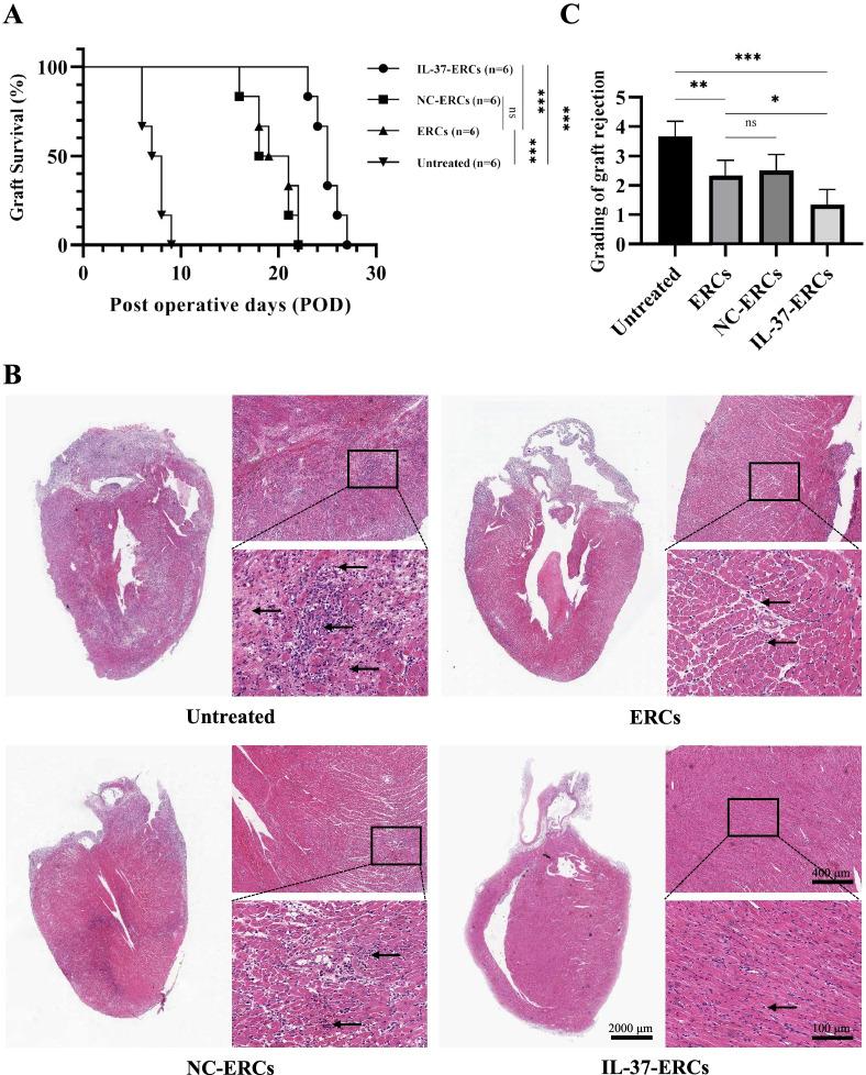 https://cdn.ncbi.nlm.nih.gov/pmc/blobs/f693/9284885/487733b8839c/13287_2022_2982_Fig2_HTML.jpg