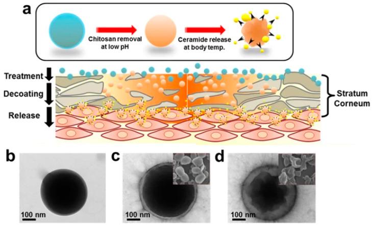 https://cdn.ncbi.nlm.nih.gov/pmc/blobs/f694/12025235/430c7957767d/biomimetics-10-00217-g005.jpg