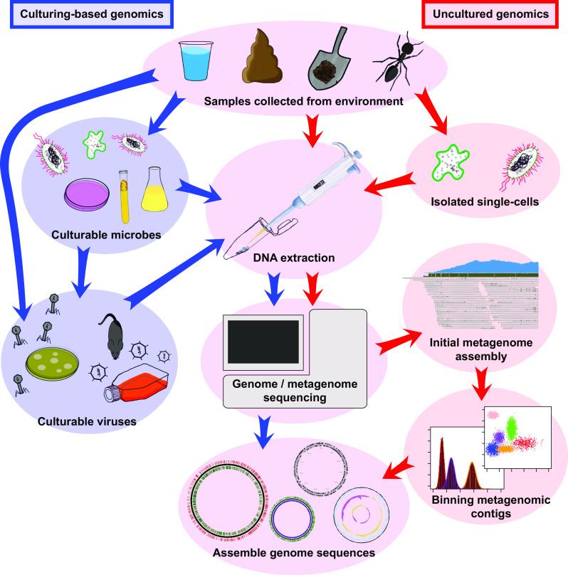 https://cdn.ncbi.nlm.nih.gov/pmc/blobs/f699/11113416/51f8bc472e8e/18_2015_2004_Fig1_HTML.jpg