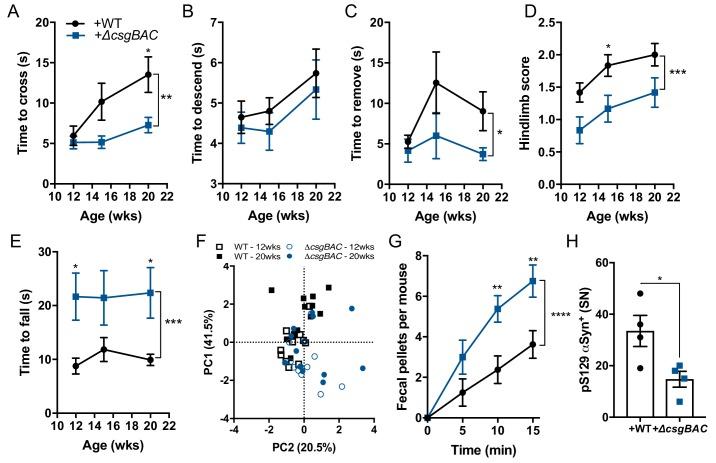 https://cdn.ncbi.nlm.nih.gov/pmc/blobs/f69b/7012599/0a027deb40b9/elife-53111-fig2.jpg