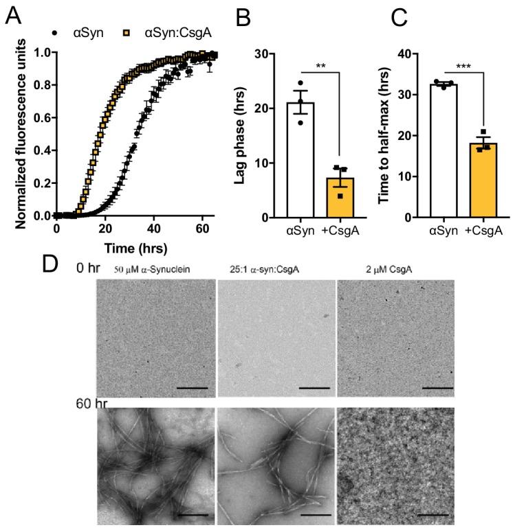 https://cdn.ncbi.nlm.nih.gov/pmc/blobs/f69b/7012599/2fa2966f192a/elife-53111-fig3.jpg