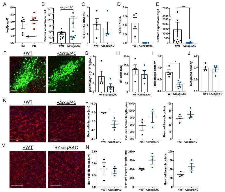 https://cdn.ncbi.nlm.nih.gov/pmc/blobs/f69b/7012599/53e56bfac53d/elife-53111-fig2-figsupp1.jpg