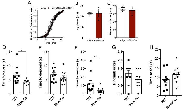 https://cdn.ncbi.nlm.nih.gov/pmc/blobs/f69b/7012599/6149ad616350/elife-53111-fig3-figsupp2.jpg