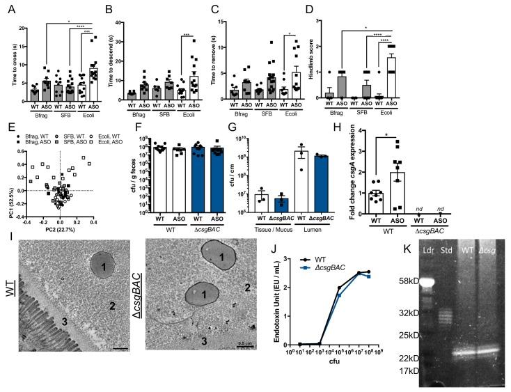 https://cdn.ncbi.nlm.nih.gov/pmc/blobs/f69b/7012599/700f22bfd594/elife-53111-fig1-figsupp1.jpg