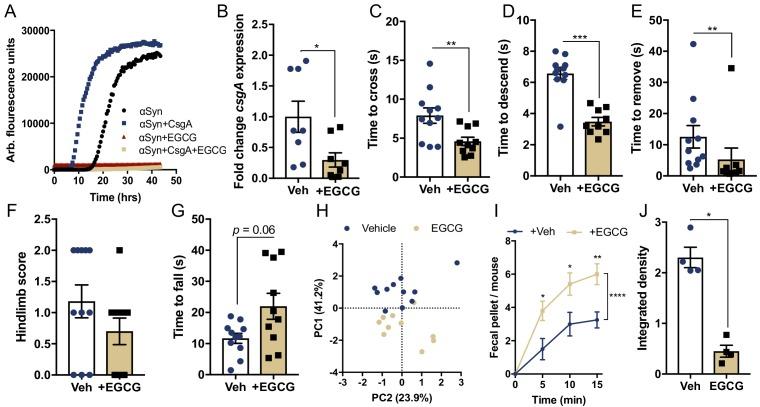 https://cdn.ncbi.nlm.nih.gov/pmc/blobs/f69b/7012599/ad195462f6c0/elife-53111-fig4.jpg