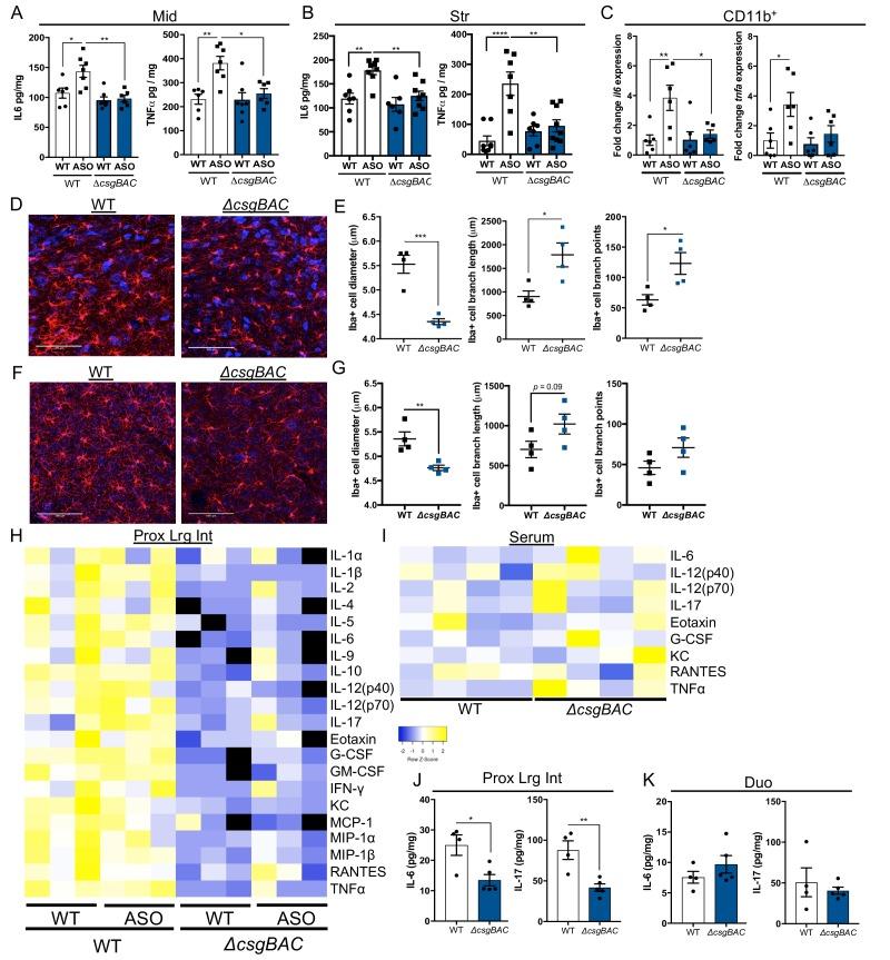 https://cdn.ncbi.nlm.nih.gov/pmc/blobs/f69b/7012599/b3affc6ecfb6/elife-53111-fig1-figsupp3.jpg