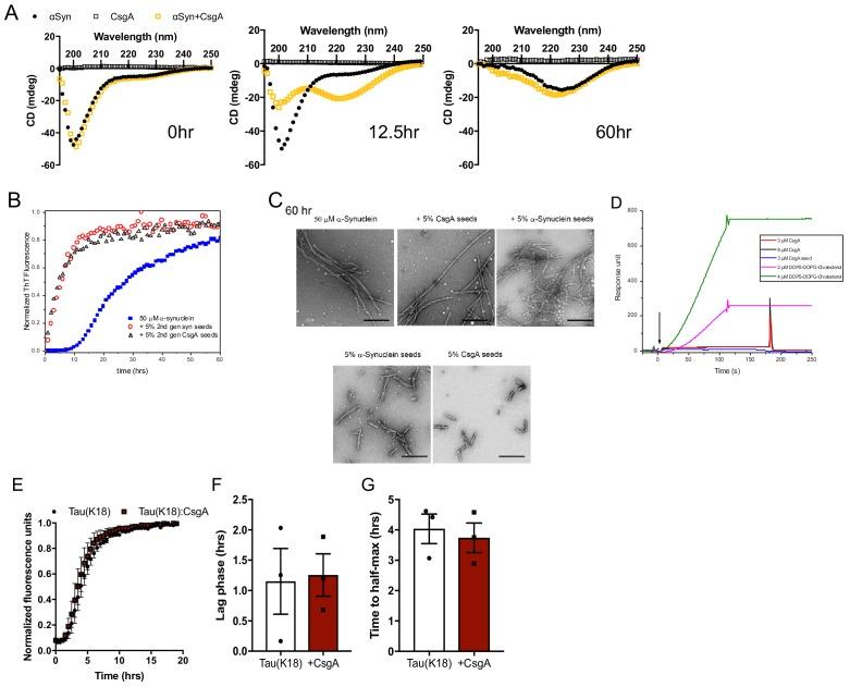 https://cdn.ncbi.nlm.nih.gov/pmc/blobs/f69b/7012599/cf3f481ea696/elife-53111-fig3-figsupp1.jpg