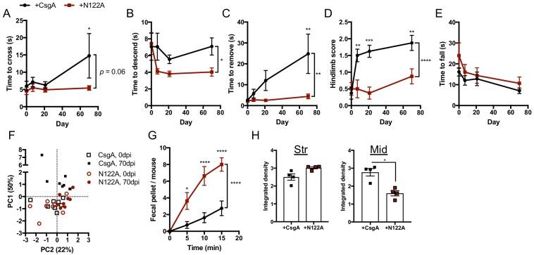 https://cdn.ncbi.nlm.nih.gov/pmc/blobs/f69b/7012599/dedbf33e4a67/elife-53111-fig3-figsupp3.jpg