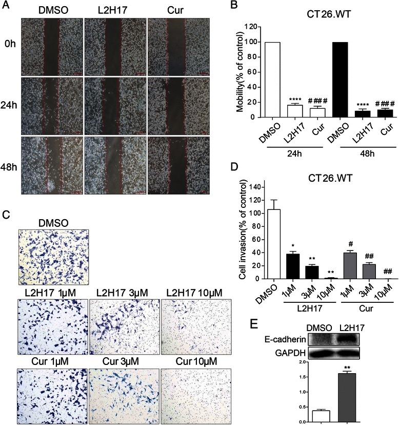 https://cdn.ncbi.nlm.nih.gov/pmc/blobs/f69d/4638100/19ee57d7d265/12885_2015_1901_Fig5_HTML.jpg
