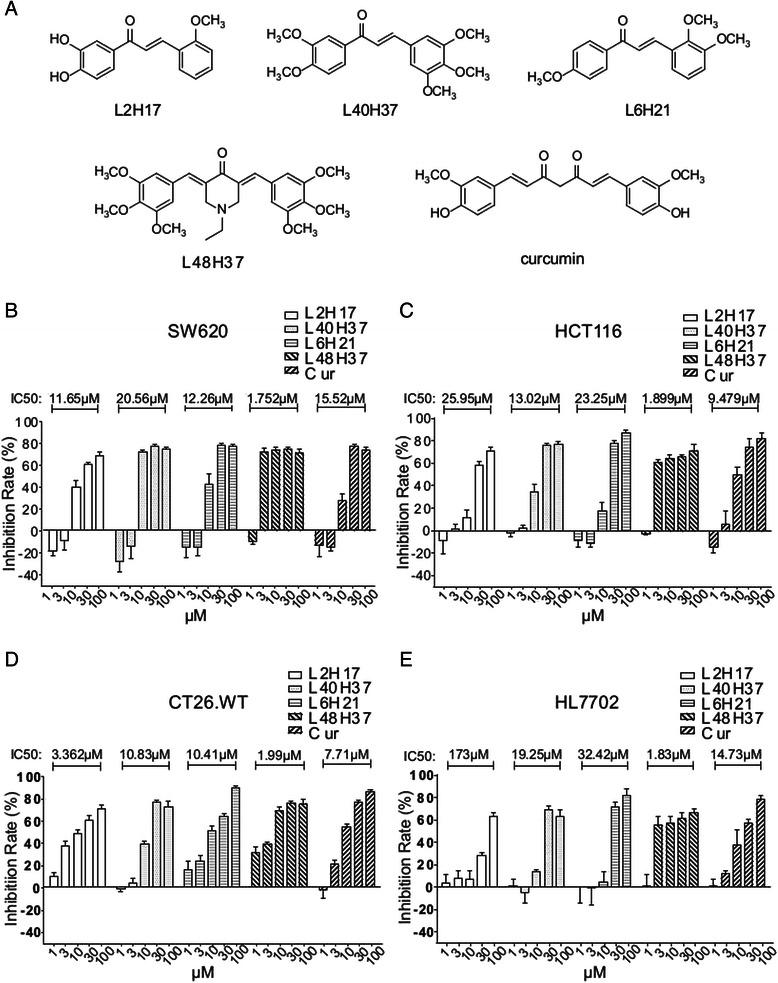 https://cdn.ncbi.nlm.nih.gov/pmc/blobs/f69d/4638100/c2a489781ae4/12885_2015_1901_Fig1_HTML.jpg