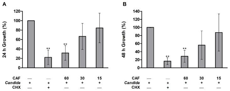 https://cdn.ncbi.nlm.nih.gov/pmc/blobs/f6a0/9495344/cf092d39cc68/biomedicines-10-02078-g001.jpg
