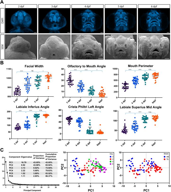https://cdn.ncbi.nlm.nih.gov/pmc/blobs/f6a3/10245138/87011b5cd7a2/dmm-16-049868-g3.jpg