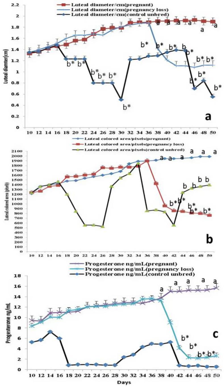 https://cdn.ncbi.nlm.nih.gov/pmc/blobs/f6a7/11512285/acb8e2e7c3c4/vetsci-11-00479-g002.jpg